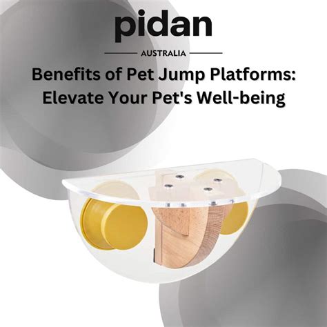 Elevate your pet's well.